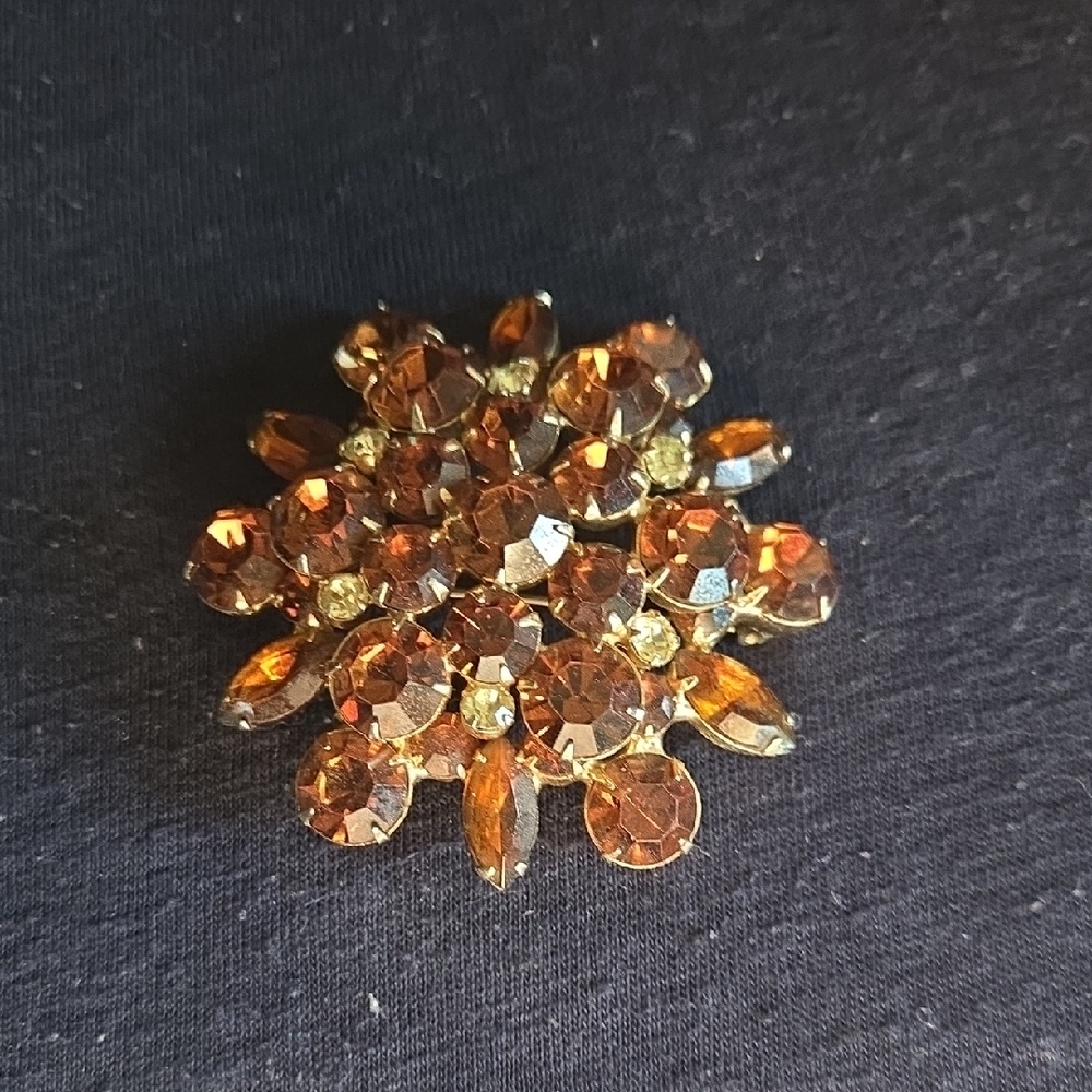 Elegant Gold and Brown Brooch